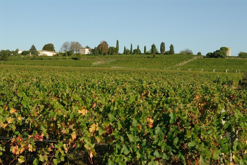 Chateau Berliquet