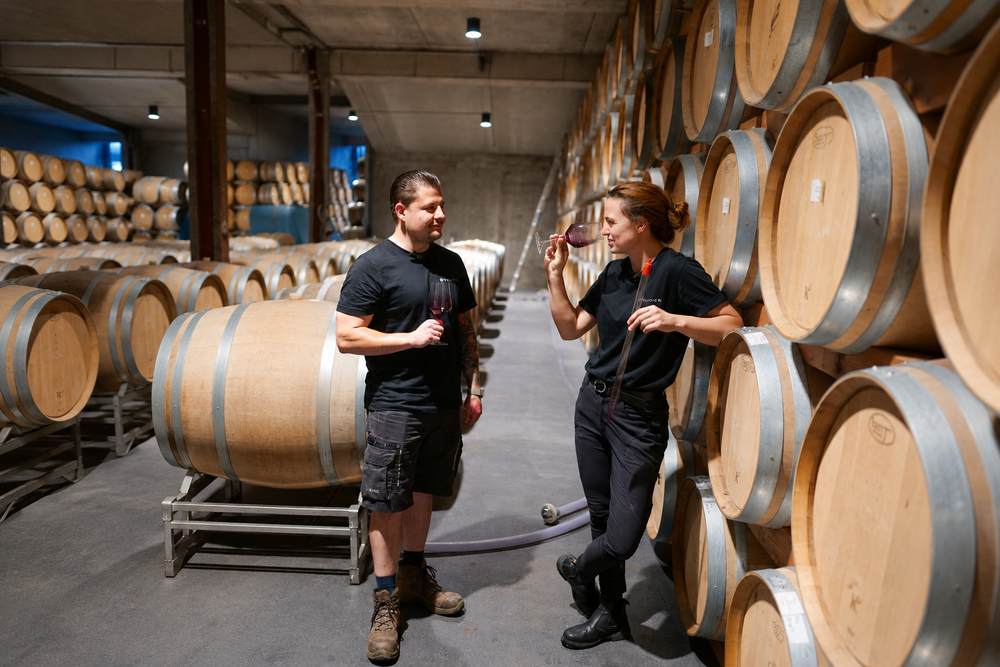 Weingut Studier