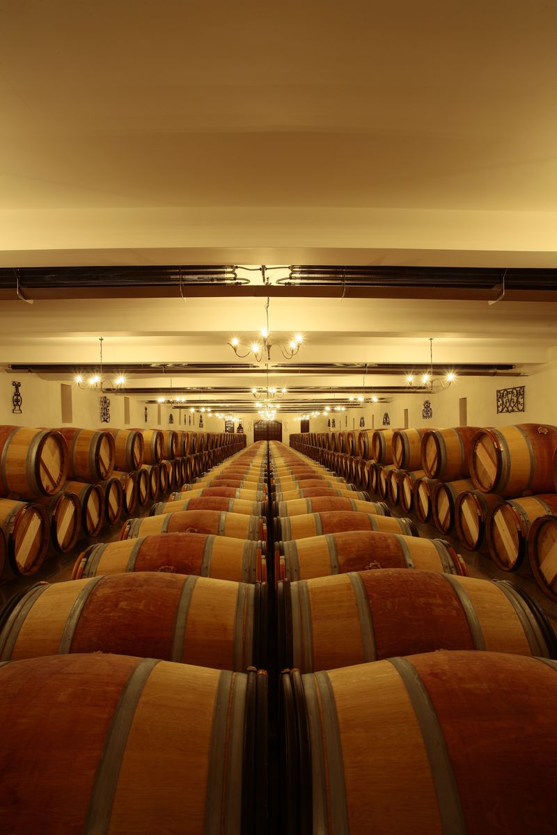 Langer Weinkeller mit Holzweinfässern von Chateau Langoa Barton