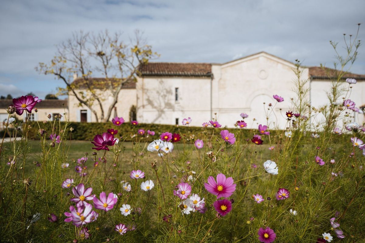 Blick auf Blumenwiese bei Tageslicht mit Chateau Badette im Hintergrund