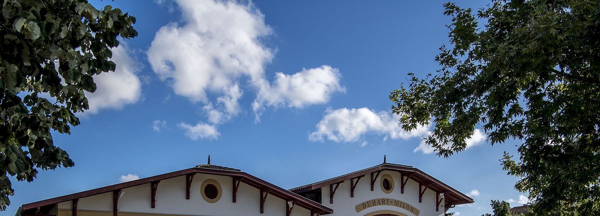 Blauer Himmel mit weißen Wolken über Dächern von Chateau Duhart Milon Rothschild und grünen Baumzweigen