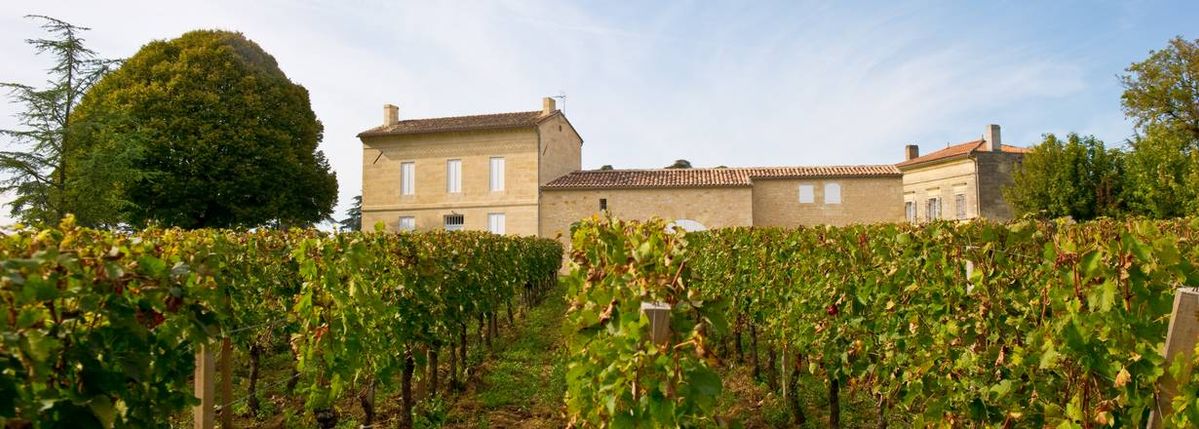 Bild von Chateau Rocheyron