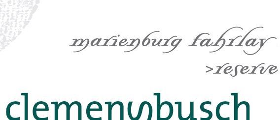 Busch, Clemens - Riesling Marienburg Fahrlay Reserve Grosse Lage 2019