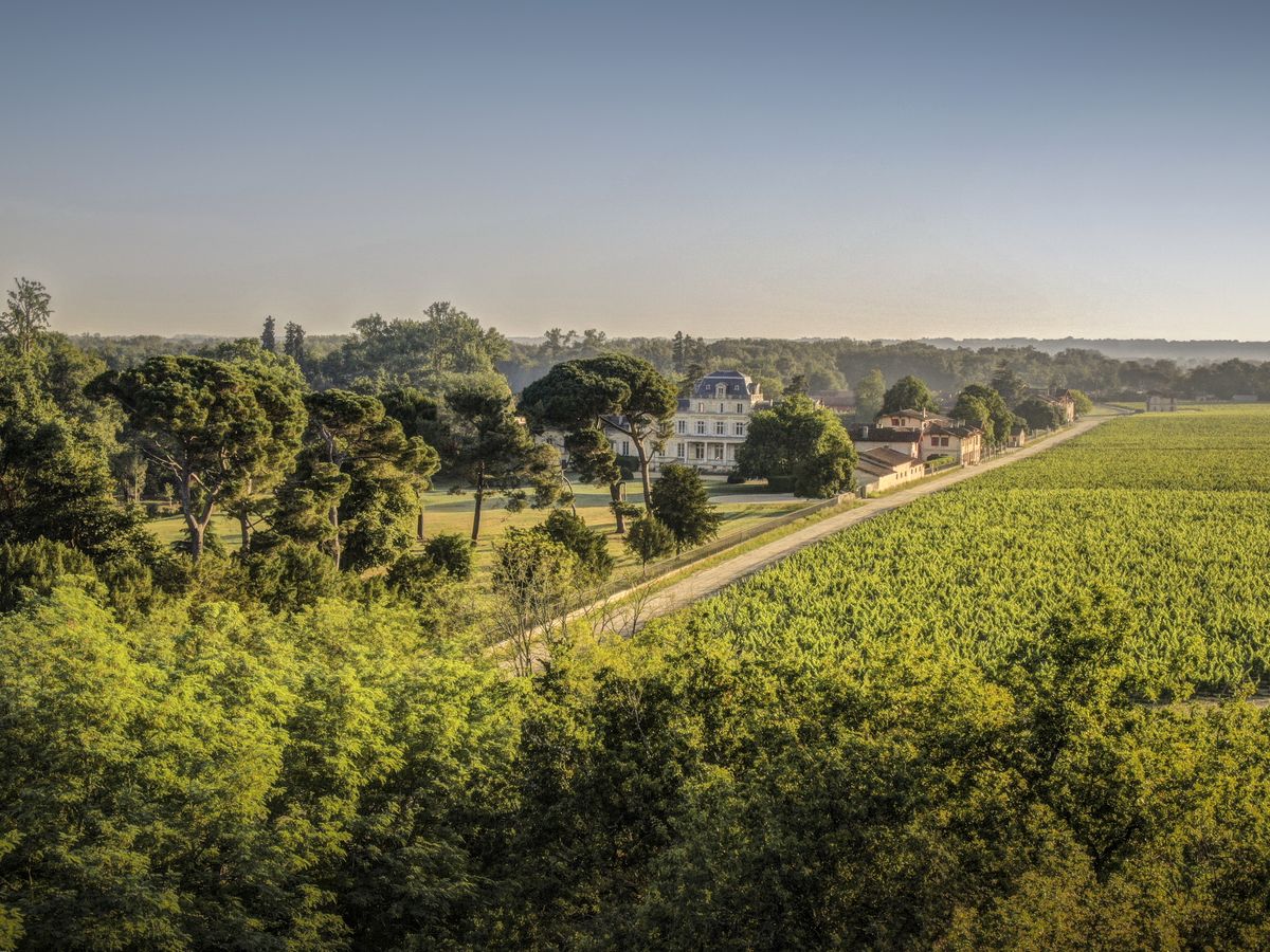 Fernaufnahme von Gebäude von Chateau Giscours umgeben von Bäumen und Weinbergen unter blauem Himmel