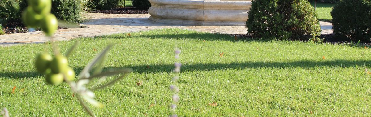 Grüne Wiese mit Zweig auf Grundstück von Chateau La Fleur de Bouard