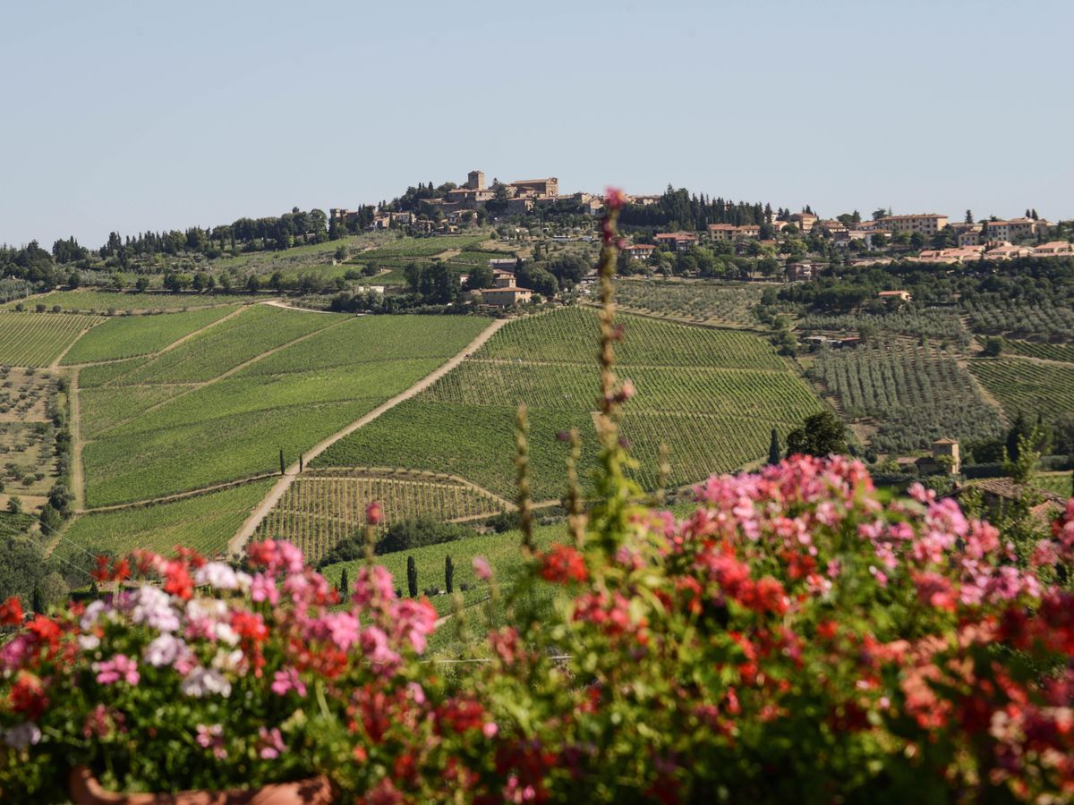 Bild von Fontodi