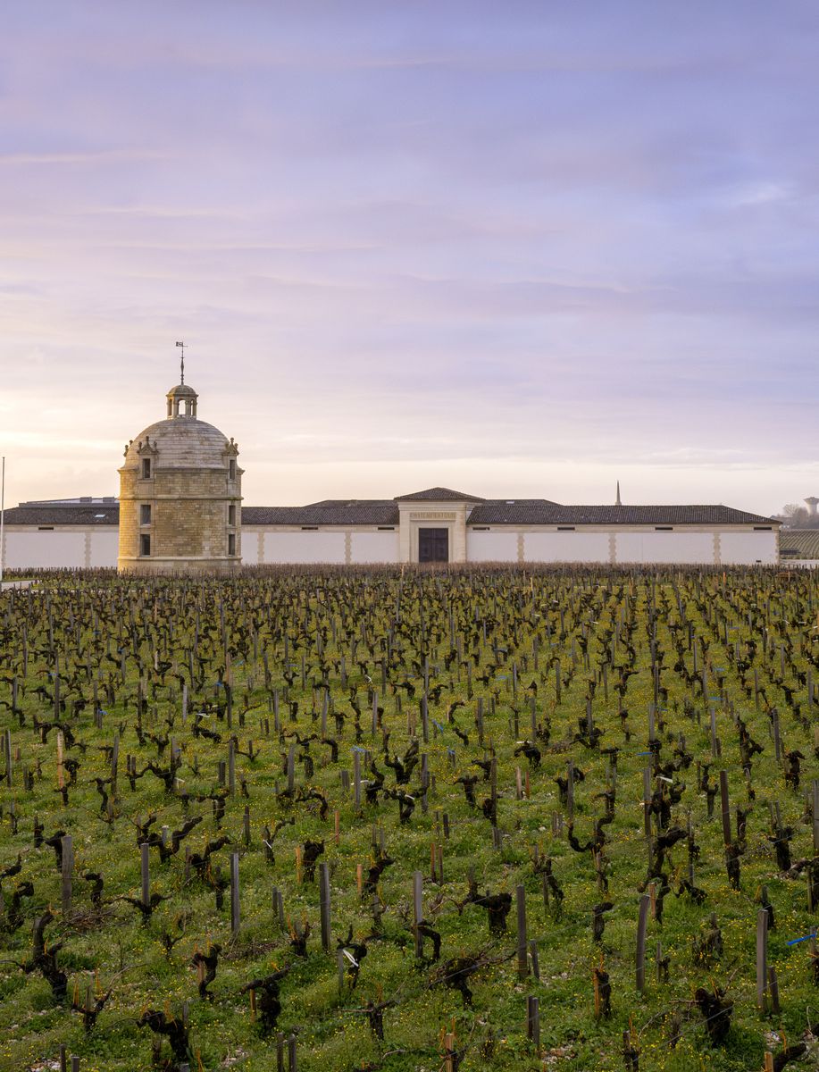 Chateau Latour