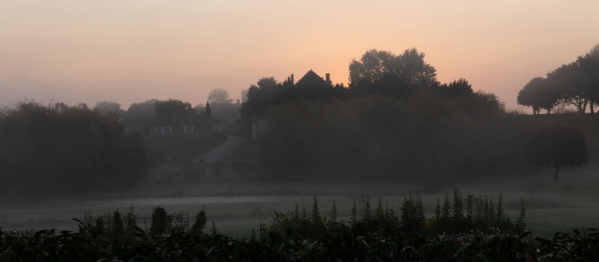 Château Lafite Rothschild im Nebel bei Sonnenaufgang