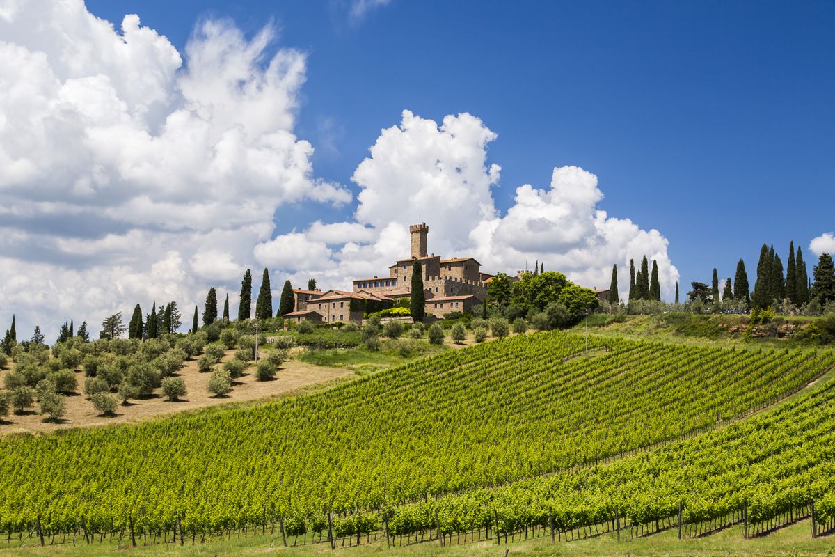 Banfi