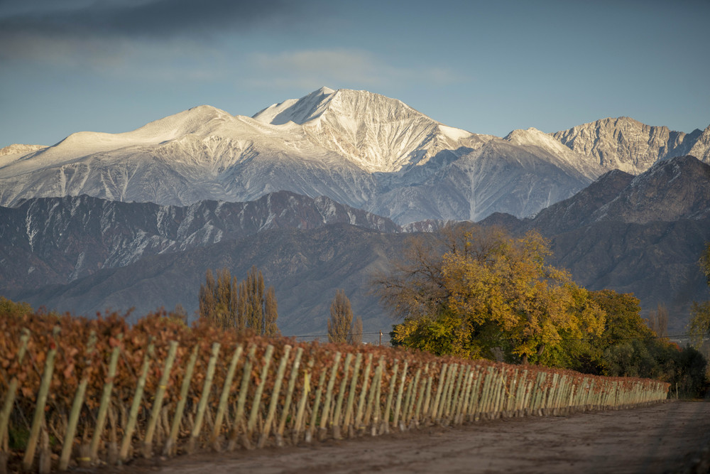 Bild von Cheval des Andes