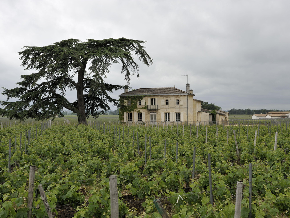 Bild von Chateau Les Cruzelles