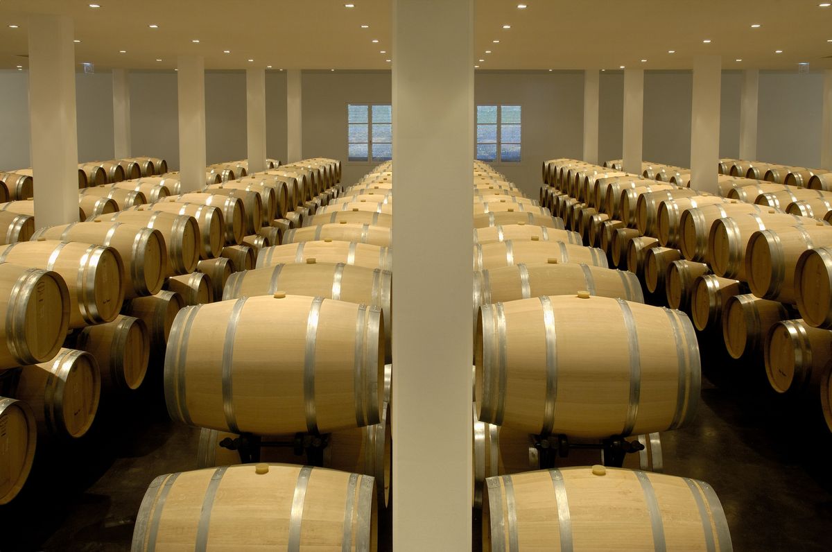 Weinkeller von Chateau Larrivet Haut Brion mit aneinandergereihten Holzweinfässern