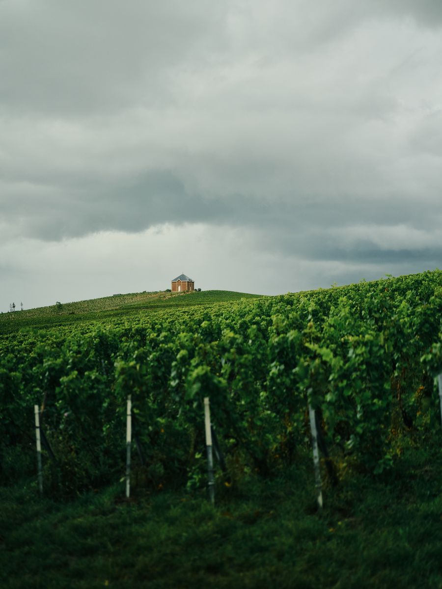 Weite Weinrebenlandschaft unter gewittrigem Himmel mit kleiner Kirche in der Ferne