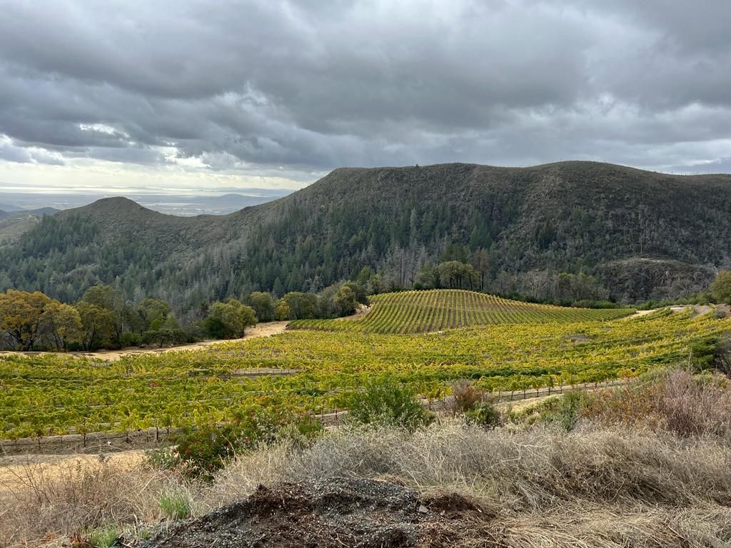 Mayacamas