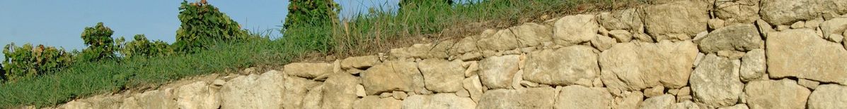 Steinmauer und darüber der Weinberg von Château Larcis Ducasse