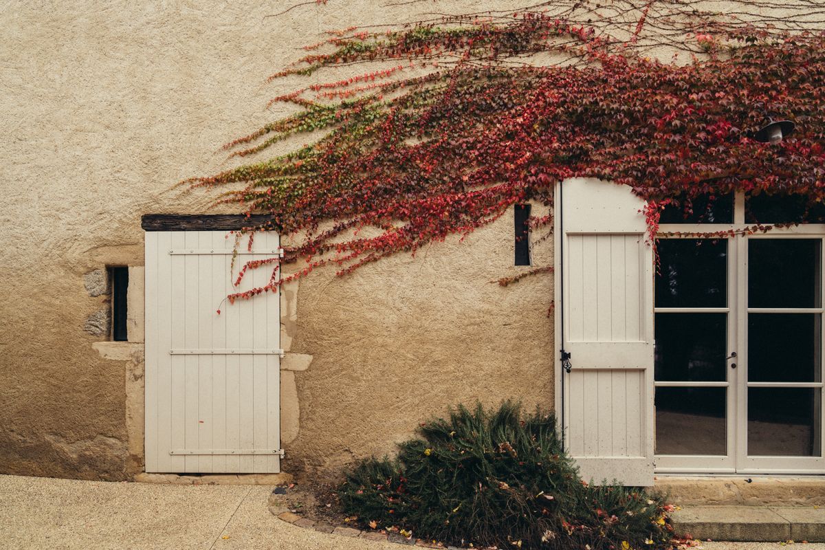 Chateau Grillet