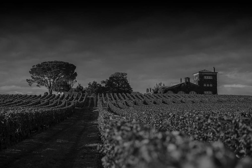 Bild von Chateau Rieussec
