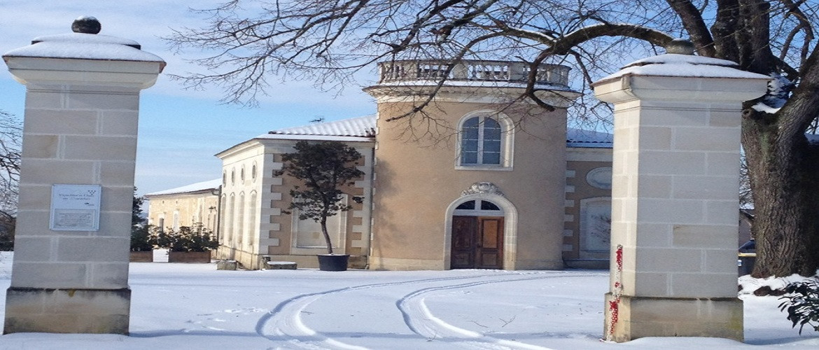 Chateau Francs Magnus
