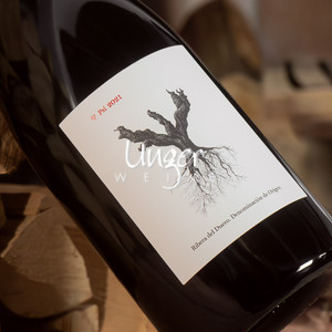 2021 PSI Bodegas y Vinedos Alnardo - Peter Sisseck Ribera del Duero