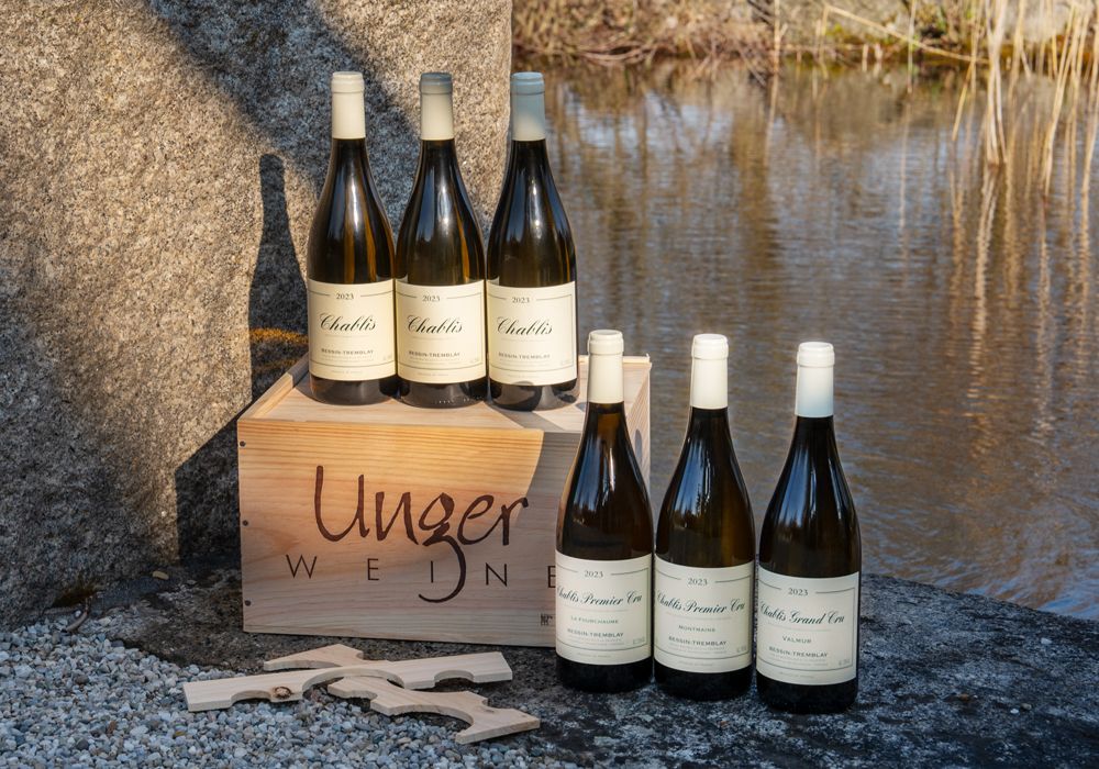 2023 Chablis Domaine Bessin Tremblay Chablis