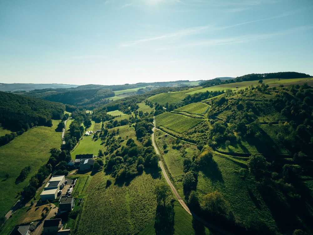 Weingut Hees