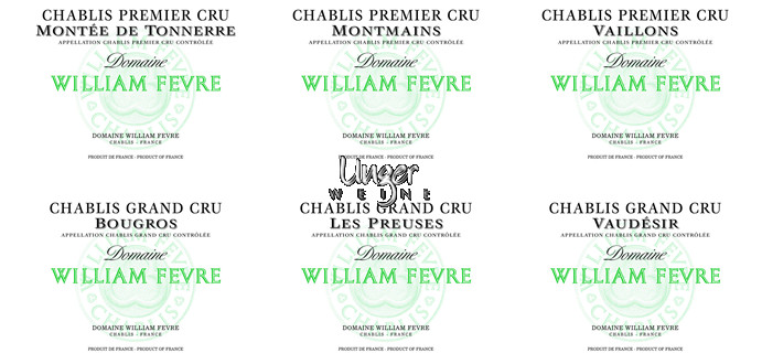 2020 Kollektion Domaine William Fevre Chablis