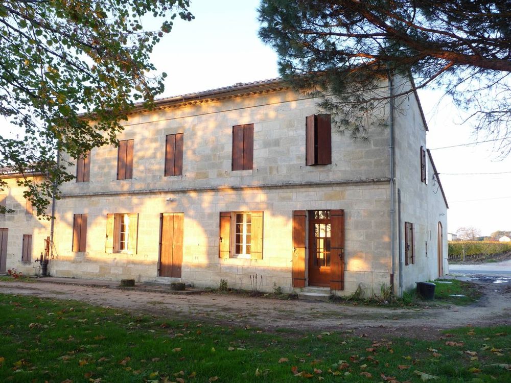 Bild von Chateau Feytit Clinet