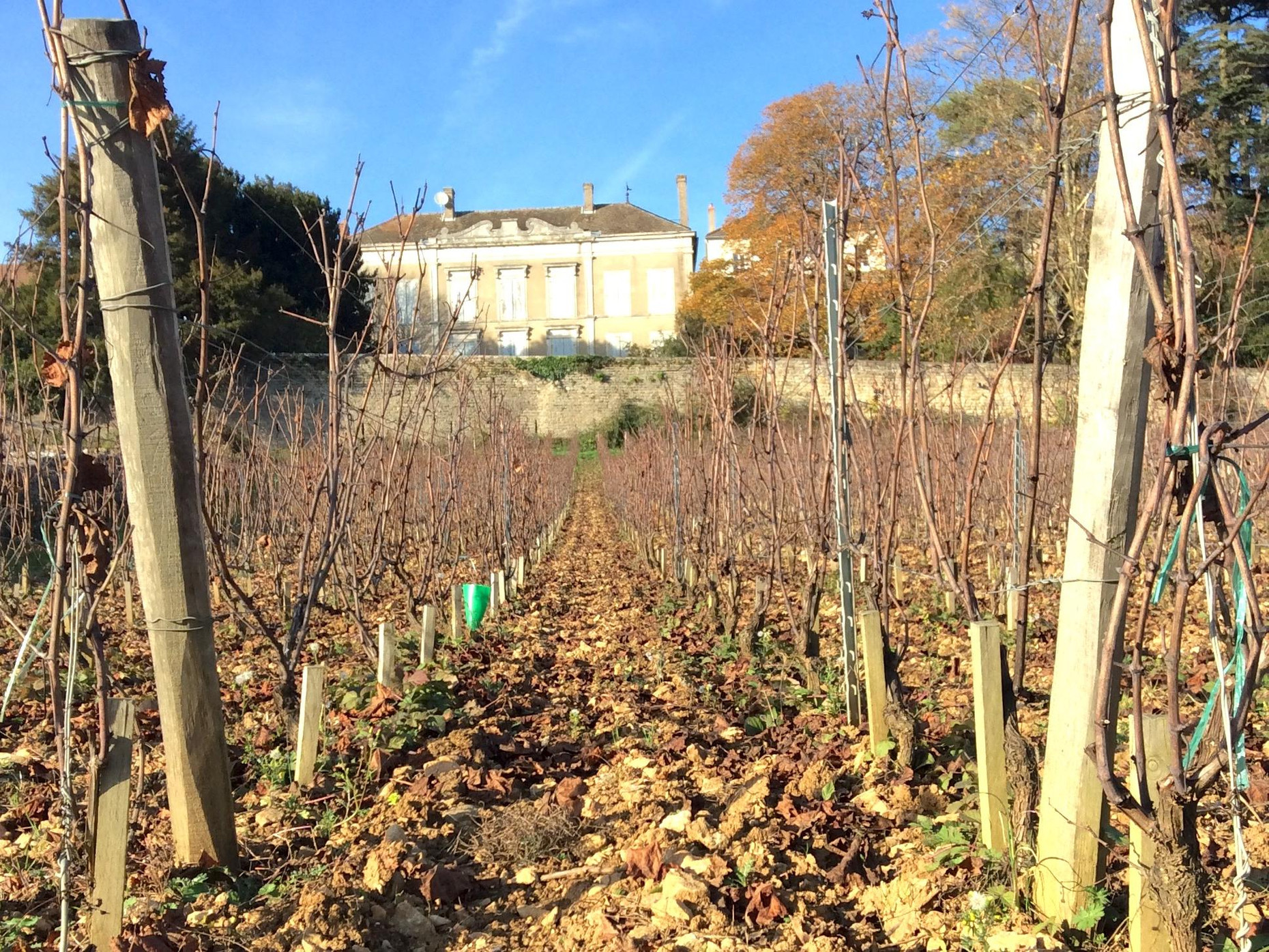 Domaine Les Champs De L`Abbaye