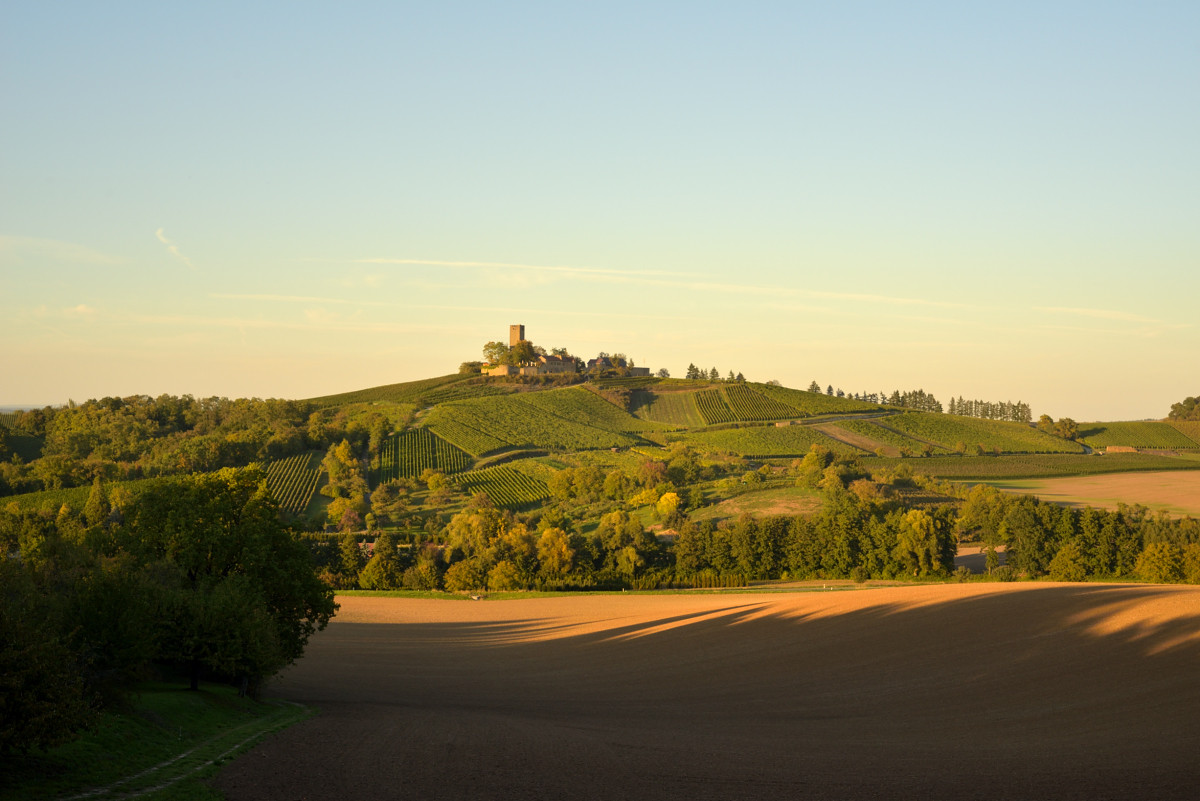 Weingut Burg Ravensburg