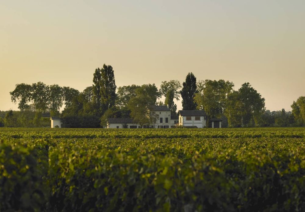 Bild von Chateau La Grave a Pomerol