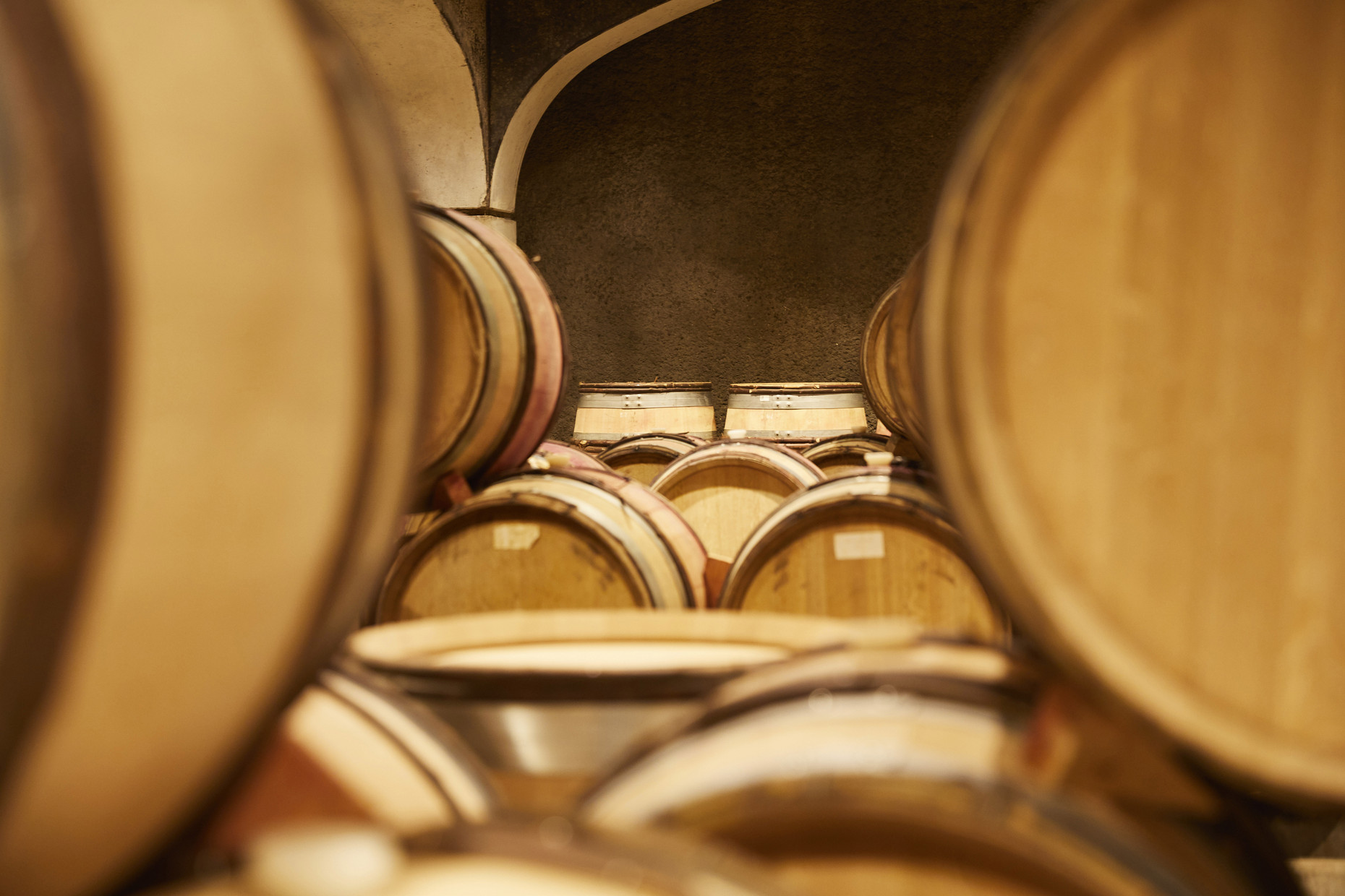 Bild von Domaine Bouchard Pere & Fils