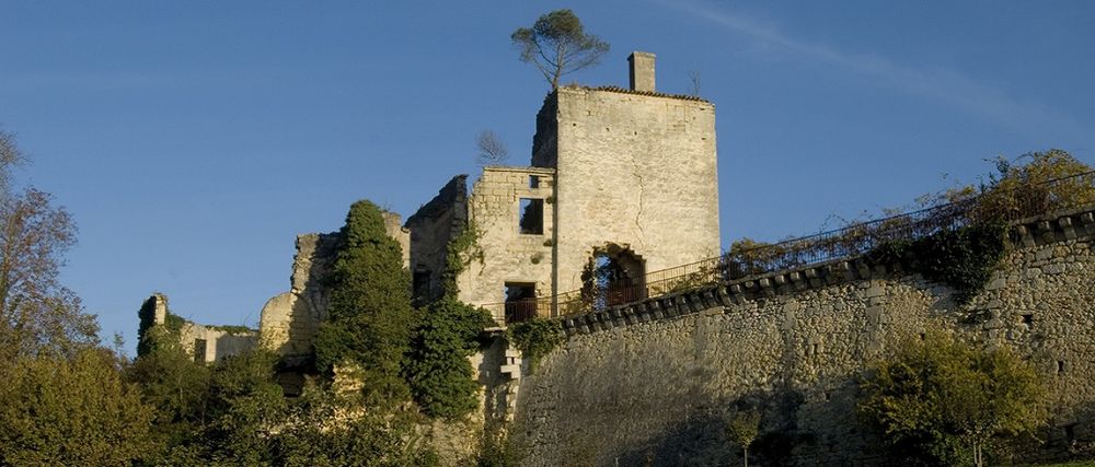 Bild von Chateau d´Aiguilhe