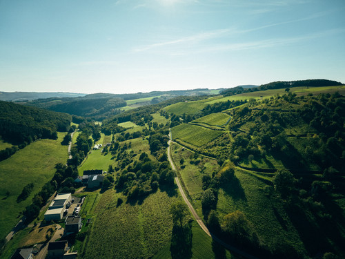 Weingut Hees