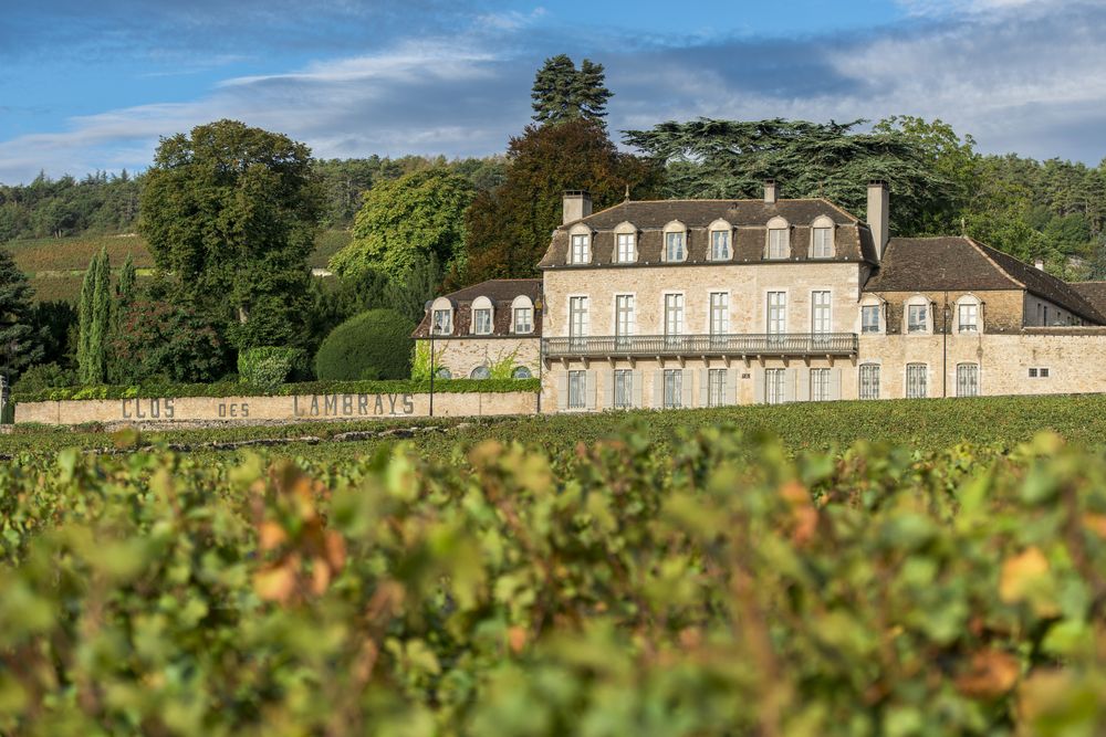 Bild von Domaine des Lambrays