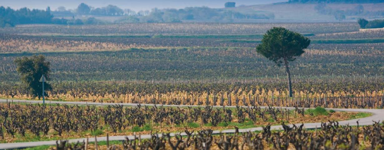 Chateau de Beaucastel