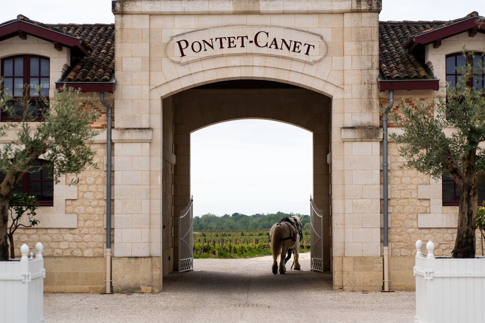 Bild von Chateau Pontet Canet