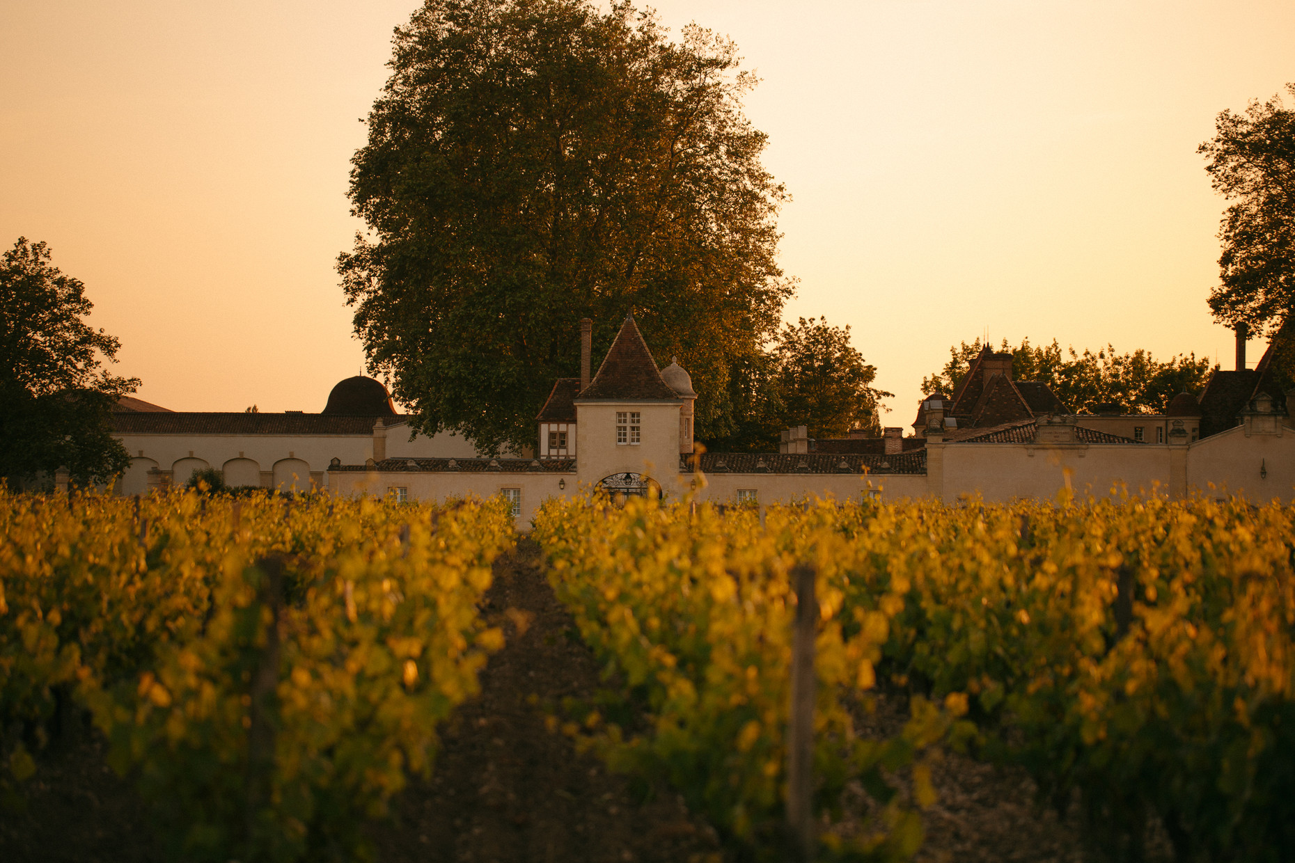 Bild von Chateau Rauzan Segla