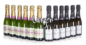 je 6 Flaschen Premier Cru Champagner VILMART & COUTIER Champagne