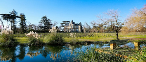 Chateau Les Carmes Haut Brion