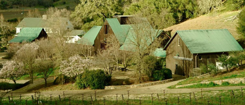 Eisele Vineyard (Araujo Estate)