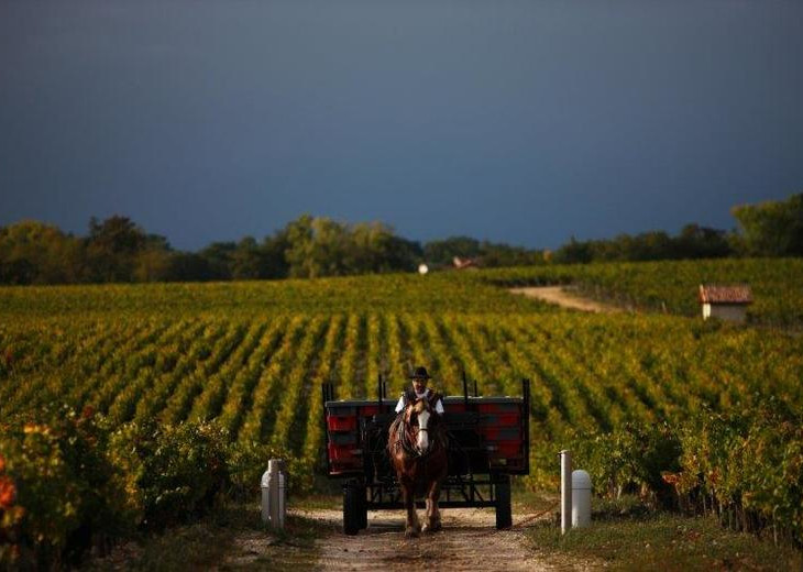 !!! 2019 CHATEAU PONTET CANET -30% !!!