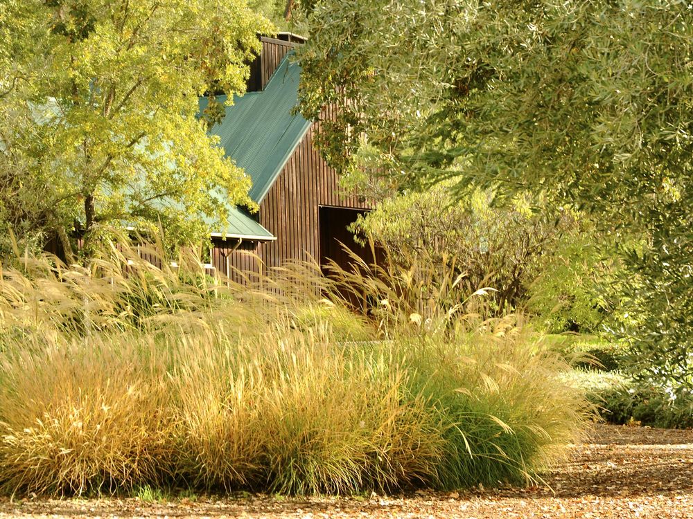 Eisele Vineyard