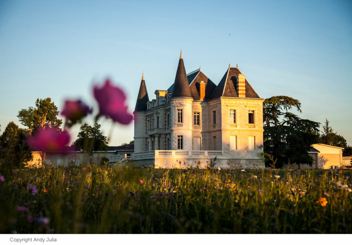 Bild von Chateau Lamothe Bergeron