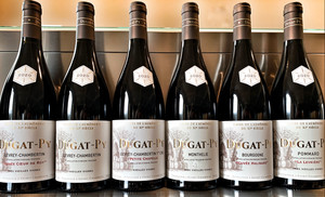 2020 Kollektion Rotweine Dugat Py Burgund