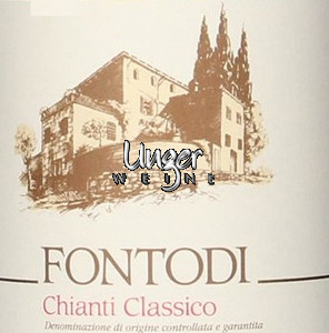 2020 Chianti Classico Fontodi Toskana