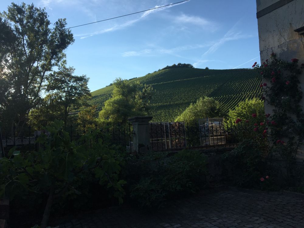 Weingut Egon Müller