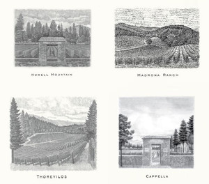 2016 Assortment Abreu Napa Valley