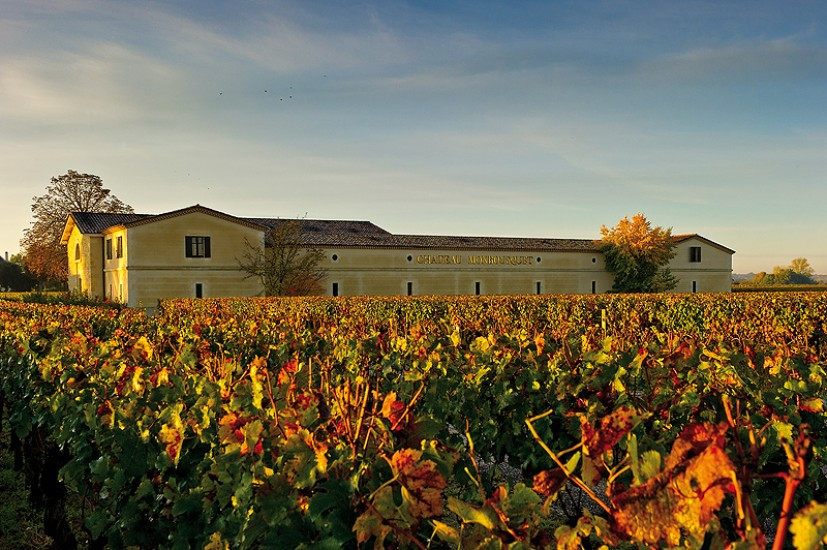 Bild von Chateau Monbousquet