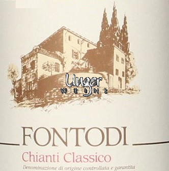 2020 Chianti Classico Fontodi Toskana