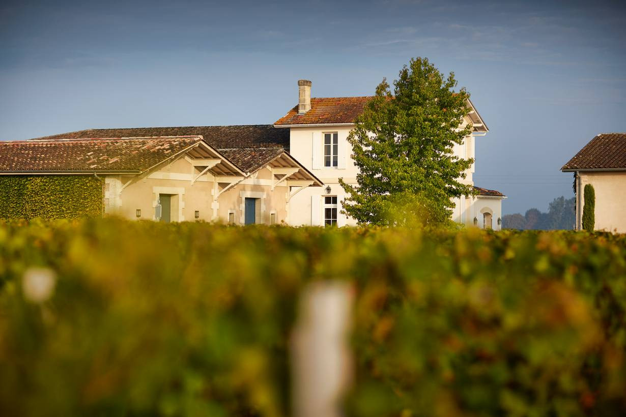 Bild von Chateau Chauvin